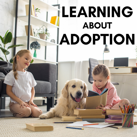 5 Books for Children About Dog Adoption