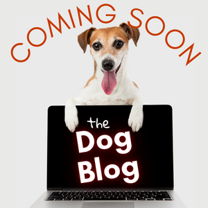 The Dog Blog is Coming Back Soon!