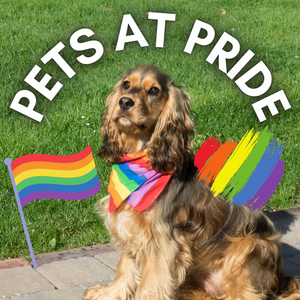 Cute Pets Celebrating Pride!