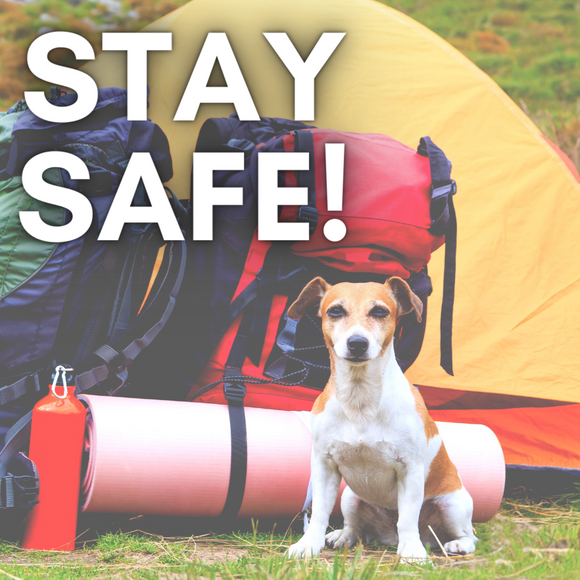 Camping for Labor Day? Keep Your Dog Safe!