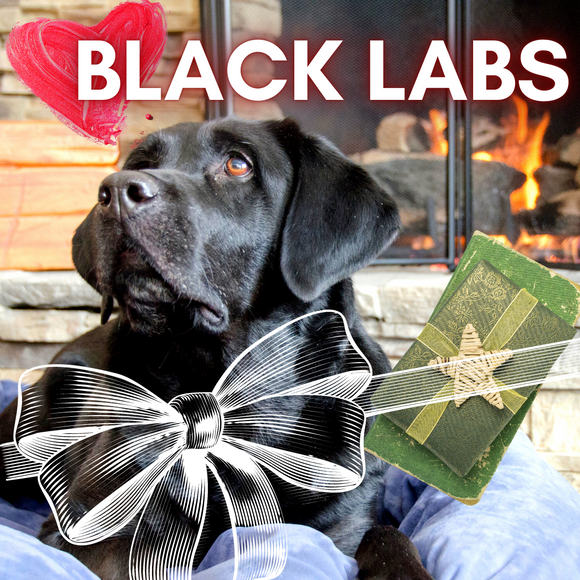5 Gift Ideas for Black Lab Lovers